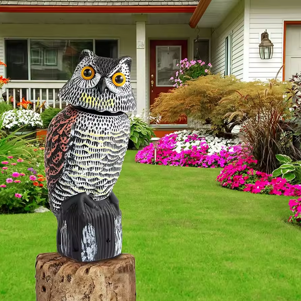 Búhos Ahuyentadores de Aves con Cabeza Giratoria