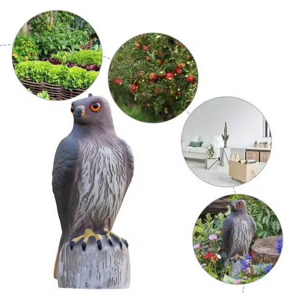 Águila Ahuyentadora de Aves
