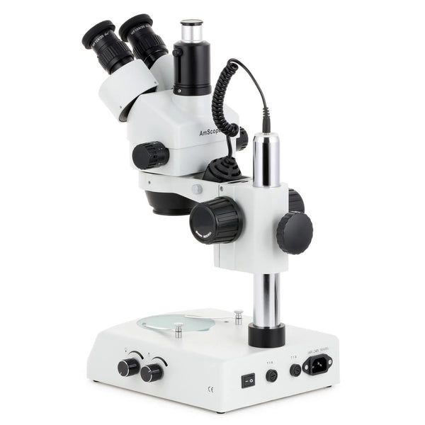 Microscopio Estéreo Trinocular AmScope Luz de Intensidad Dual