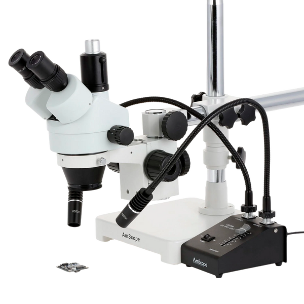 Iluminador AmScope Doble Cuello de Ganso LED de 6 Vatios