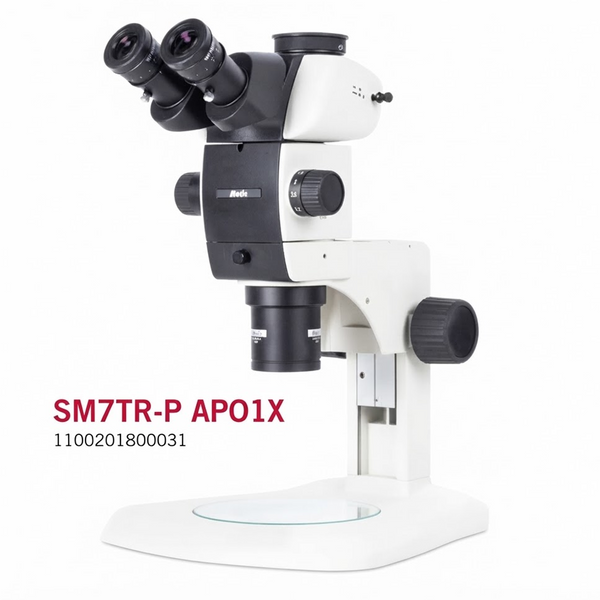 Microscopios Estéreo Trinoculares Motic Serie SM7 de 8x hasta 56x