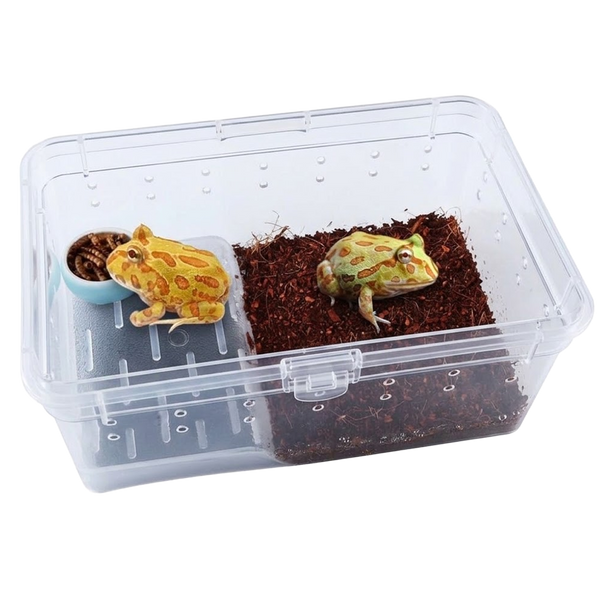 Caja para Transporte, Alimentación e Incubación de Animales con Plataforma