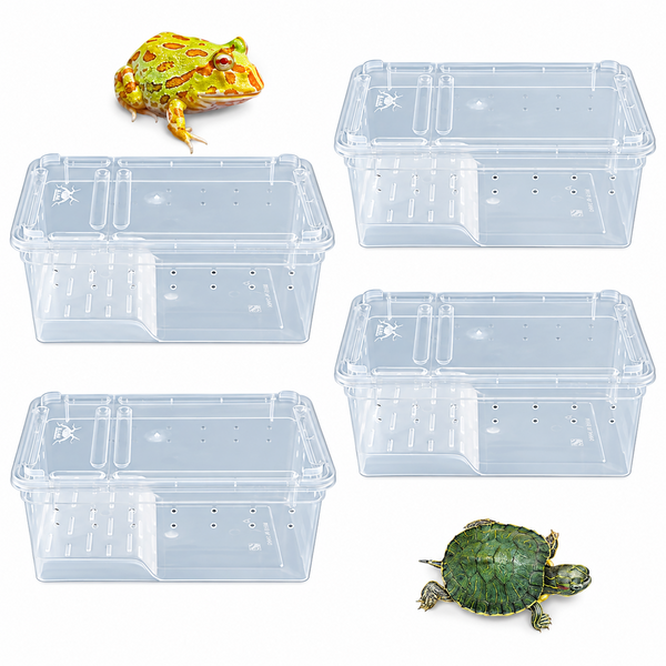 Caja para Transporte, Alimentación e Incubación de Animales con Plataforma