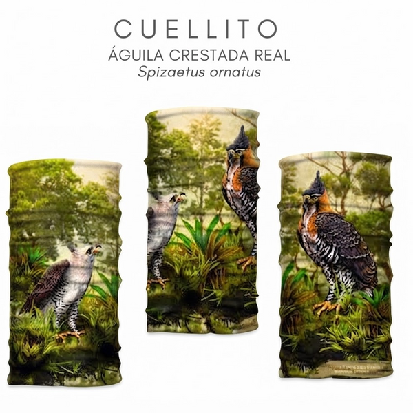 Cuellos Tipo Buff Estampados de Aves Atratus 