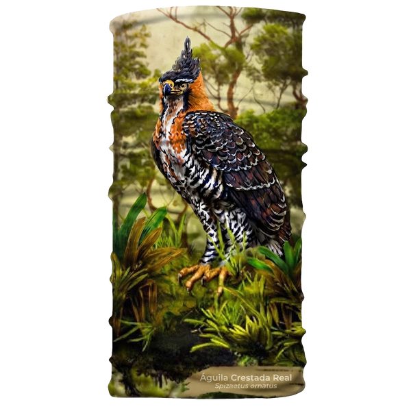 Cuellos Tipo Buff Estampados de Aves Atratus