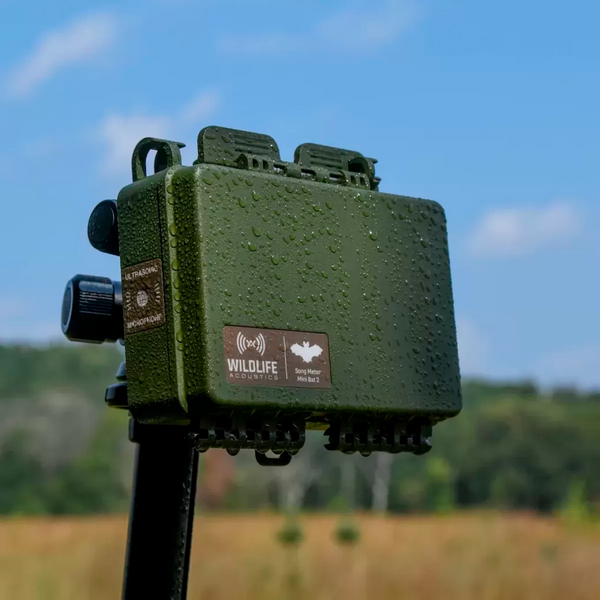 Gravador Ultrassônico e Acústico Wildlife Acoustics Série Song Meter Mini Bat 2 AA
