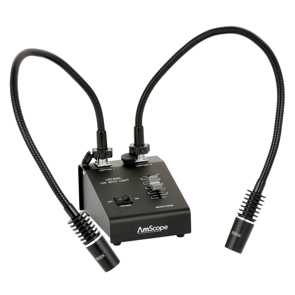 Iluminador AmScope Doble Cuello de Ganso LED de 6 Vatios