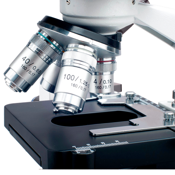 Microscopio Compuesto Binocular AmScope Serie B120 40X–2500X