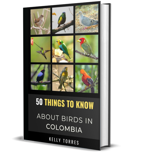50 Things to Know About Birds in Colombia: Exploring Colombia’s Diverse Flying Creatures