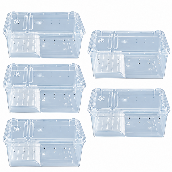 Caja para Transporte, Alimentación e Incubación de Animales con Plataforma