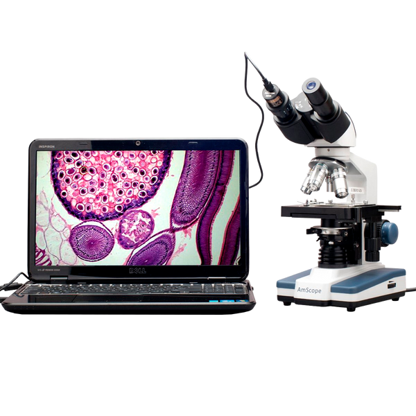 Microscopio Compuesto Binocular AmScope Serie B120 40X–2500X