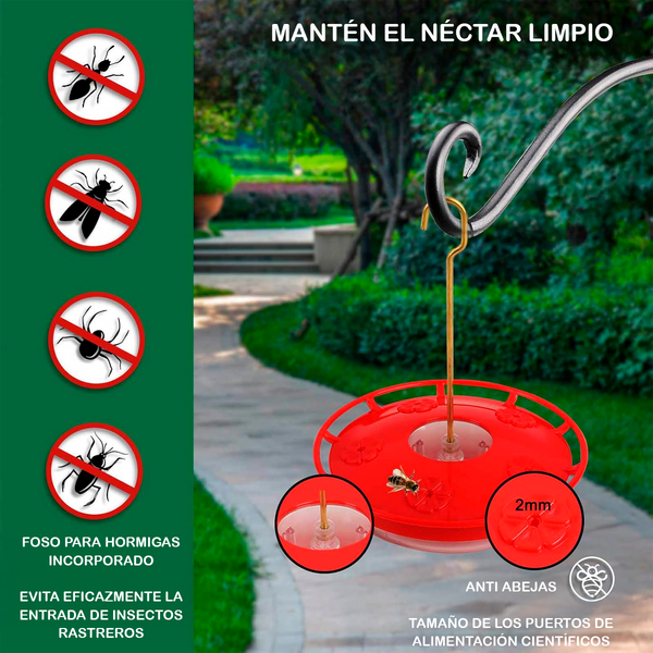 Alimentadores para Colibríes con Percha, Incluye Gancho para Colgar
