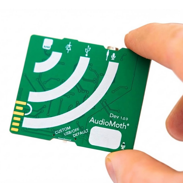 Grabadora de Monitoreo Acústico de Desarrollo AudioMoth Dev con 5 Conectores JST-PH & Micro USB