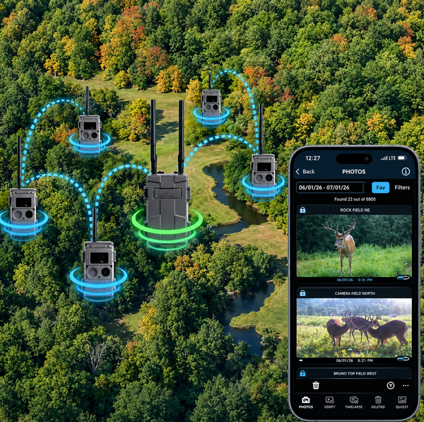 Receptor de Imágenes Cuddeback CuddeLink Home hasta 256 GB