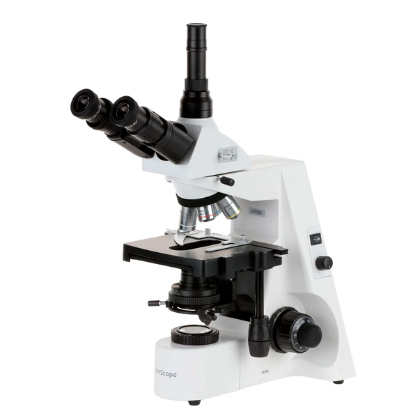 Microscopios Compuestos Trinoculares AmScope Serie T690 desde 40X hasta 2500X