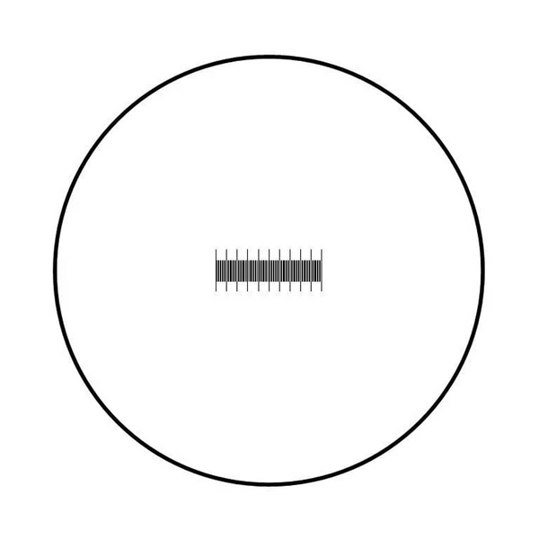 Portaobjetos de Calibración para Microscopio de 0,1 mm y 0,01 mm