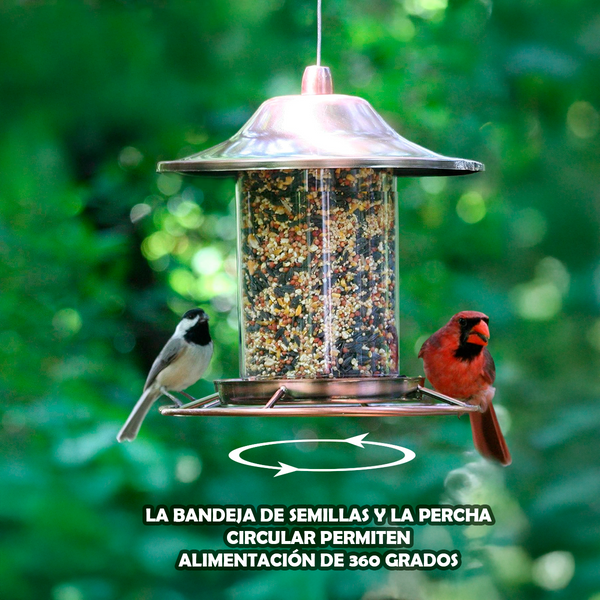 Comedero para Granívoros Perky-Pet Panorama 900 g