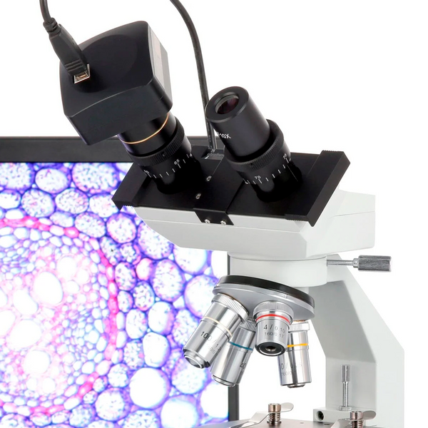 Microscopio Binocular Compuesto Amscope desde 40X hasta 2500X