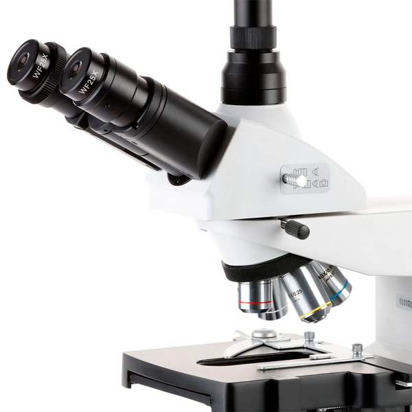 Microscopios Compuestos Trinoculares AmScope Serie T690 desde 40X hasta 2500X