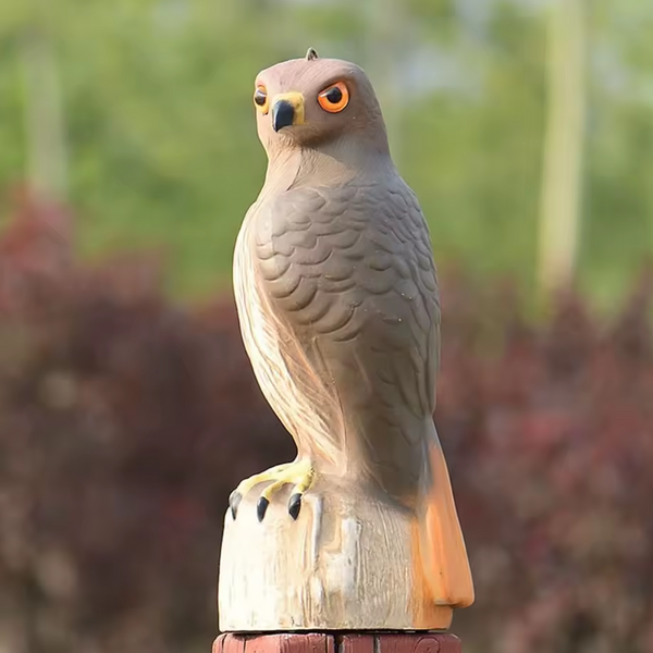 Águila Ahuyentadora de Aves