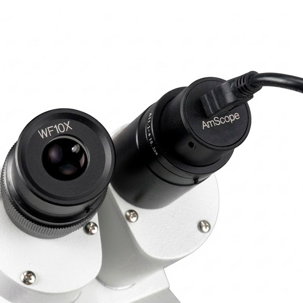Cámara para Microscopio AmScope Color CMOS USB 2.0 con Montura de 23.2 mm