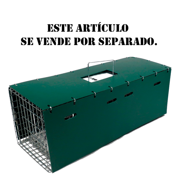 Trampas Plegables para Colonias de Ratas Almizcleras