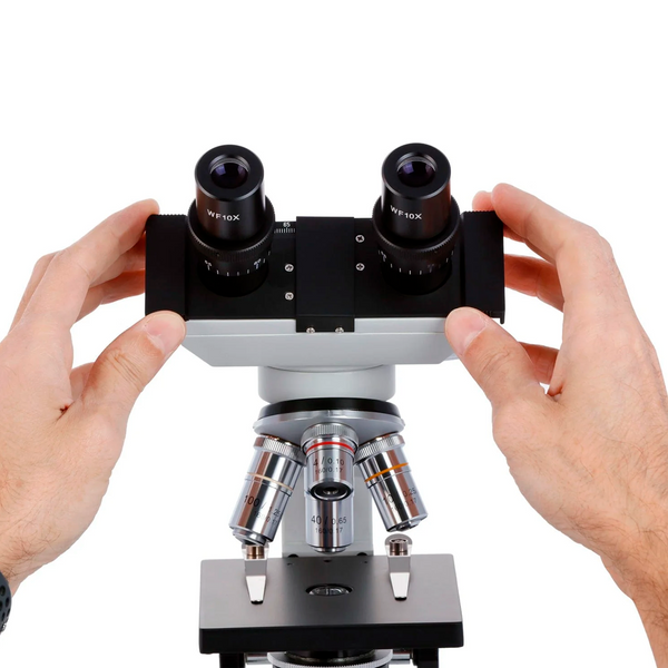 Microscopio Binocular Compuesto Amscope desde 40X hasta 2500X
