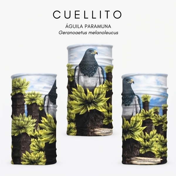 Cuellos Tipo Buff Estampados de Aves Atratus 
