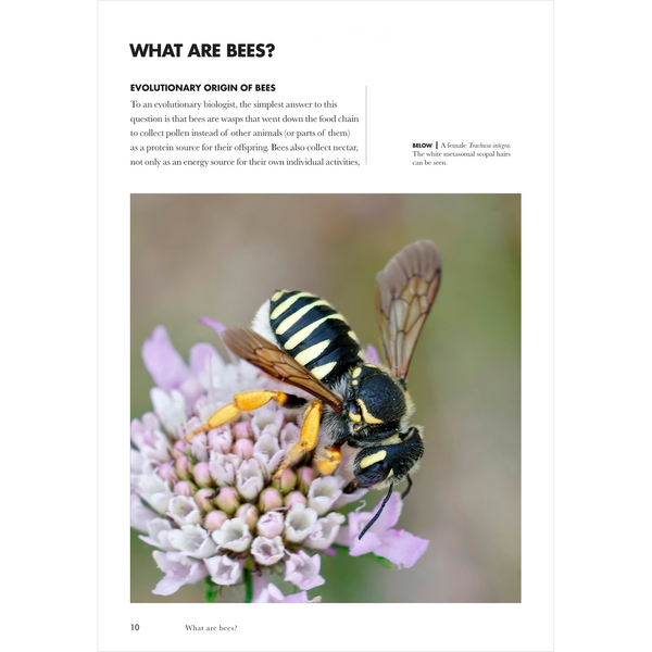 Bees of the World: A Guide to Every Family