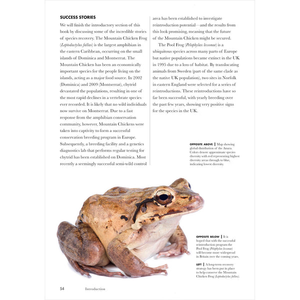 Frogs of the World: A Guide to Every Family