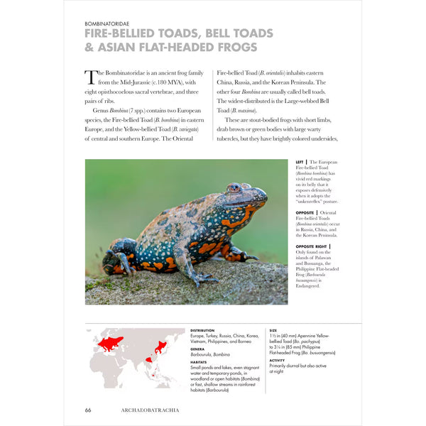 Frogs of the World: A Guide to Every Family