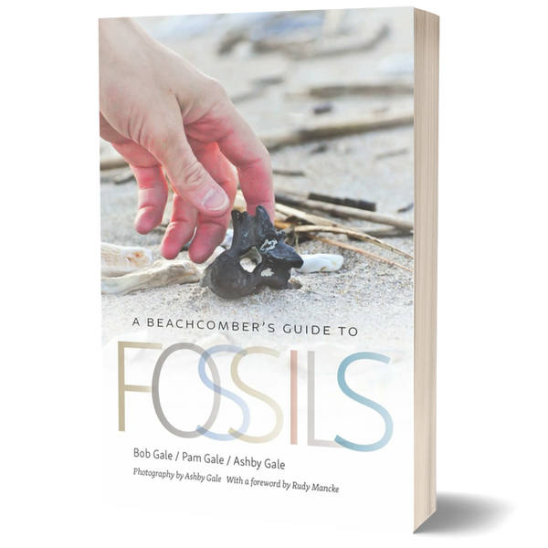 A Beachcomber’s Guide to Fossils (Wormsloe Foundation Nature Books)