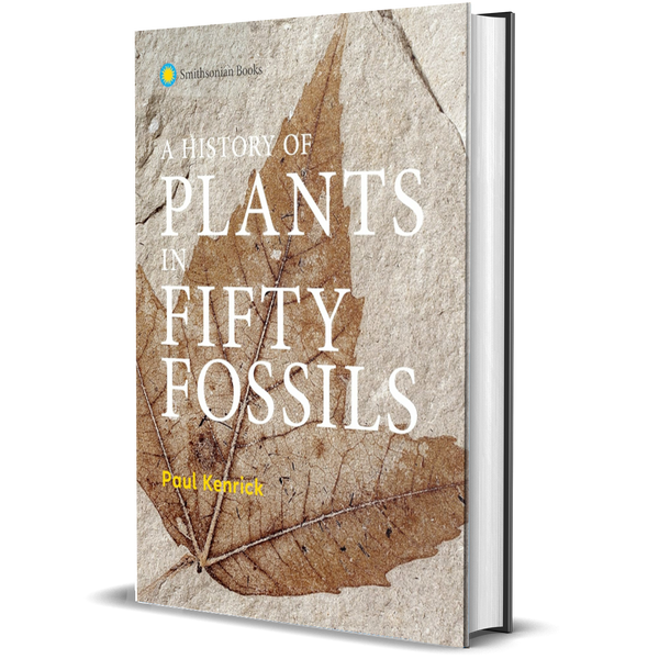 A History of Plants in Fifty Fossils