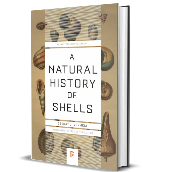 A Natural History of Shells