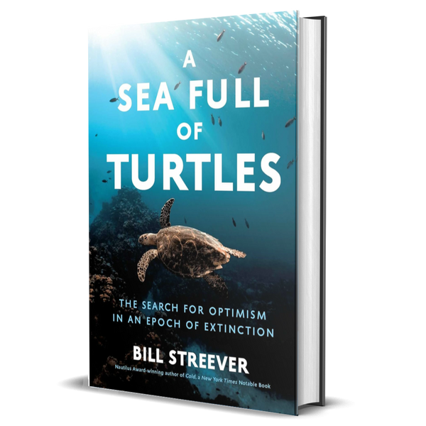A Sea Full of Turtles: The Search for Optimism in An Epoch of Extinction