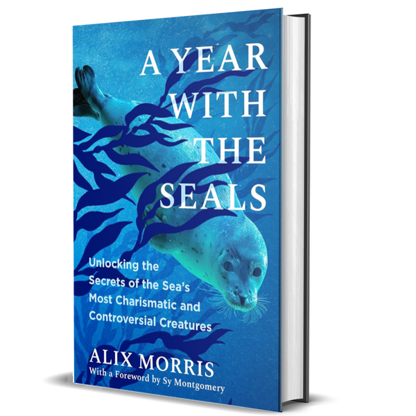 A Year with the Seals: Unlocking the Secrets of the Sea’s Most Charismatic and Controversial Creatures