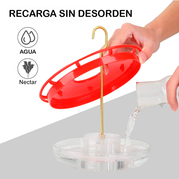 Alimentadores para Colibríes con Percha, Incluye Gancho para Colgar
