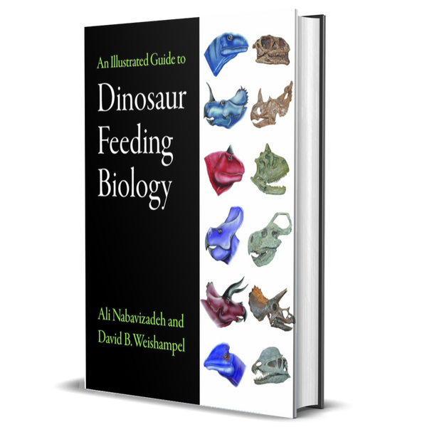 An Illustrated Guide to Dinosaur Feeding Biology