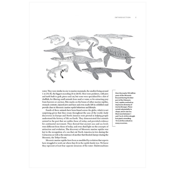 Ancient Sea Reptiles: Plesiosaurs, Ichthyosaurs, Mosasaurs, and More