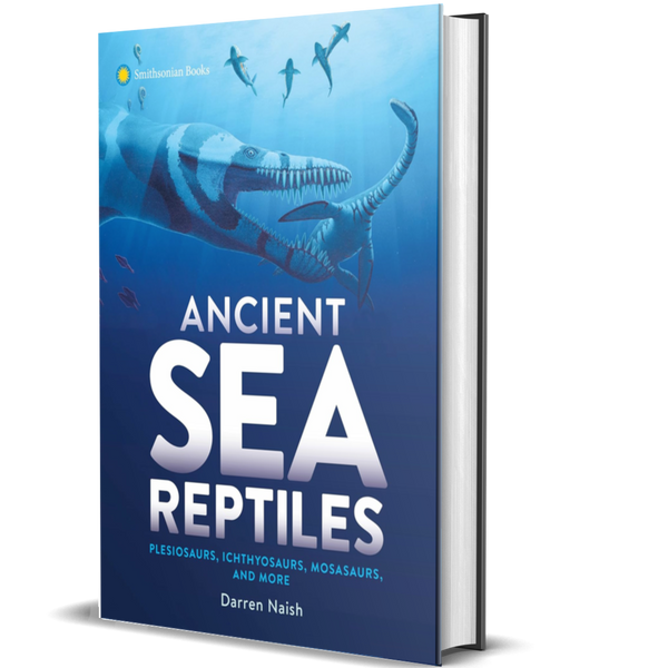 Ancient Sea Reptiles: Plesiosaurs, Ichthyosaurs, Mosasaurs, and More