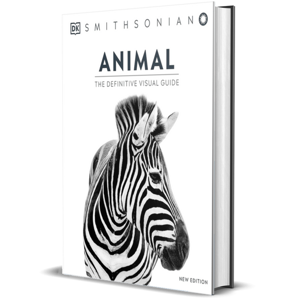 Animal: The Definitive Visual Guide (DK Definitive Visual Encyclopedias)
