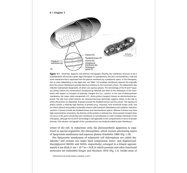 Aquatic Photosynthesis: Second Edition