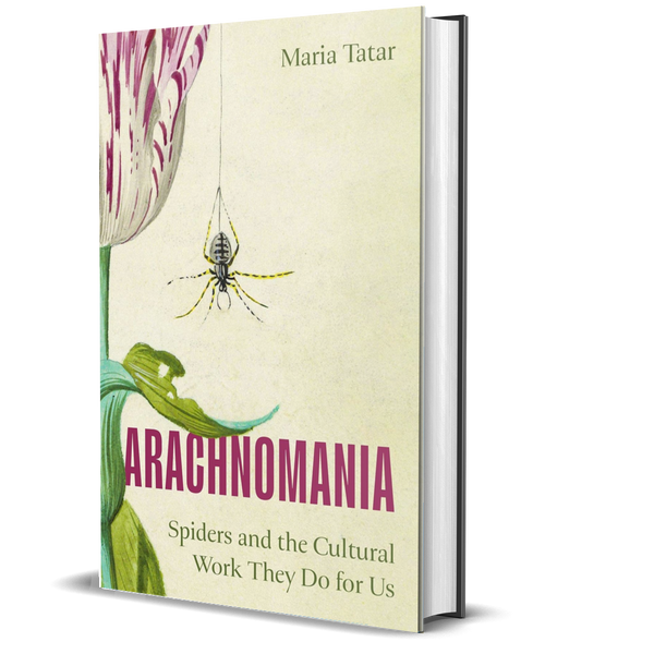 Arachnomania: Spiders and the Cultural Work They Do for Us