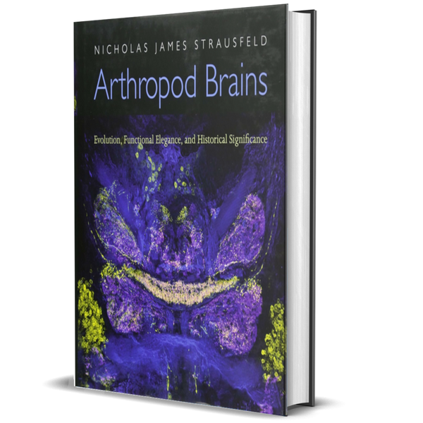 Arthropod Brains: Evolution, Functional Elegance, and Historical Significance