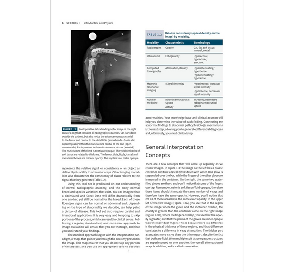 Atlas of Small Animal Diagnostic Imaging