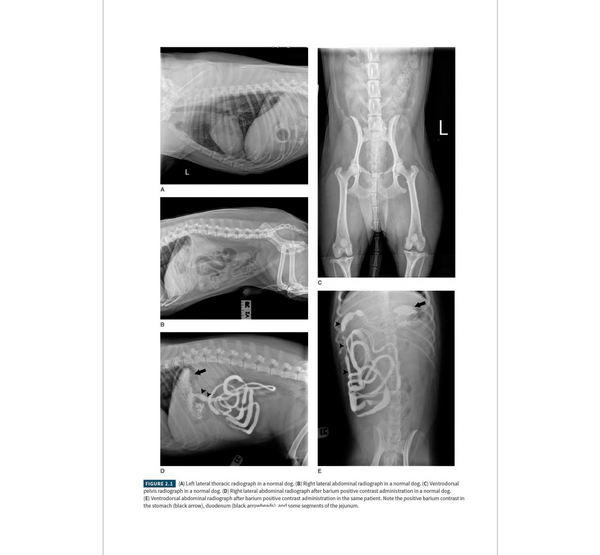 Atlas of Small Animal Diagnostic Imaging