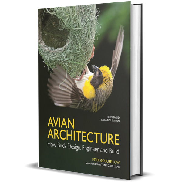 Avian Architecture Revised and Expanded Edition: How Birds Design, Engineer, and Build