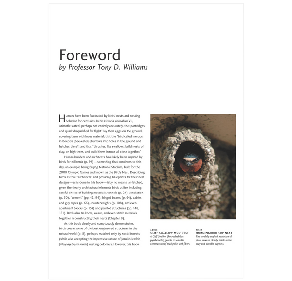 Avian Architecture Revised and Expanded Edition: How Birds Design, Engineer, and Build