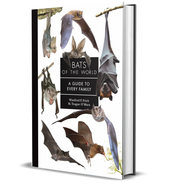 Bats of the World: A Guide to Every Family