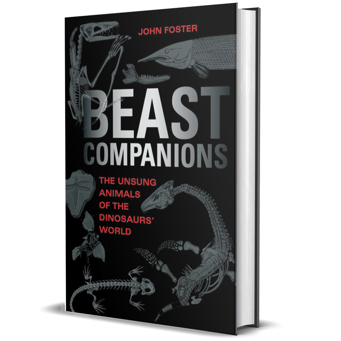 Beast Companions The Unsung Animals Of The Dinosaurs World BIOWEB Beast companions the unsung animals of the dinosaurs world bioweb